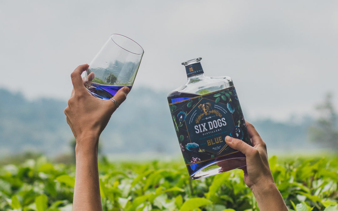 Where to Enjoy Six Dogs Gin in the Winelands